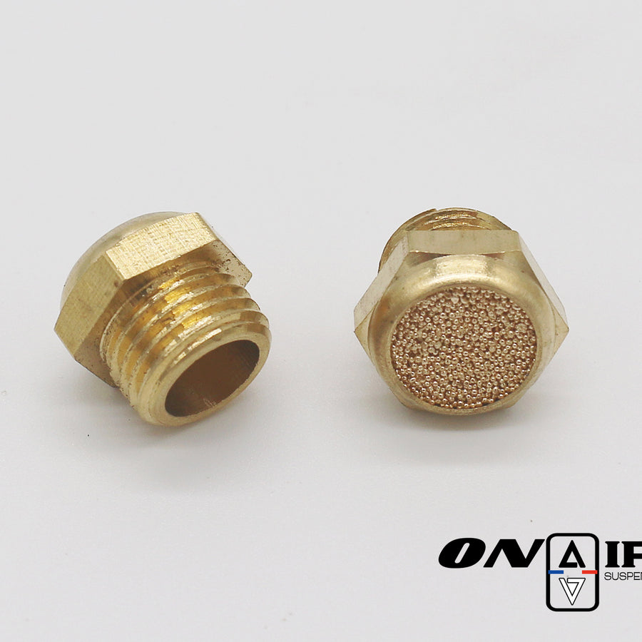 Silencieux pour électrovannes 1/4G